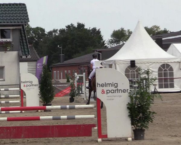 Reitturnier Datteln 2017