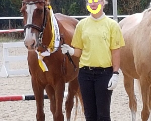 broodmare Loreley (German Riding Pony, 1990, from Regent) broodmare Loreley (German Riding Pony, 1990, from Regent)