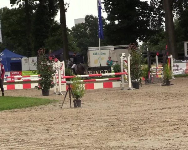 Reitturnier Datteln 2017