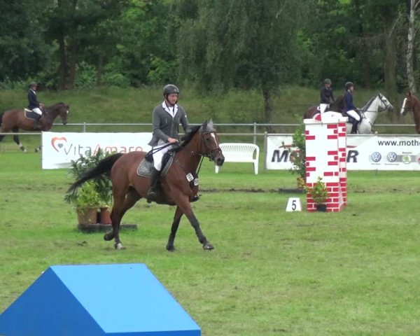 Reitturnier Gardelegen 2017