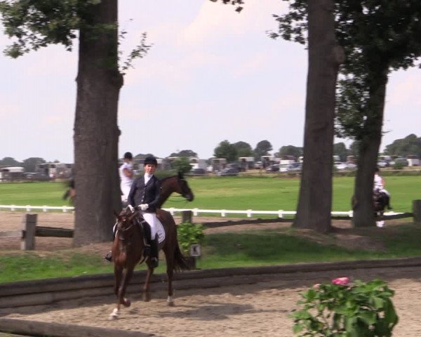 Reitturnier Datteln 2017