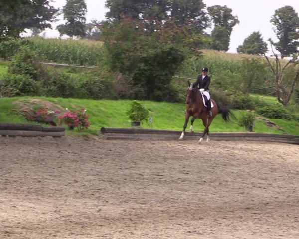 Reitturnier Datteln 2017