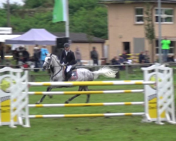Reitturnier Gardelegen 2017