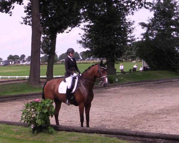 Reitturnier Datteln 2017