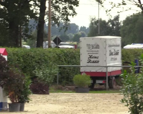 Reitturnier Olfen-Vinnum 2017