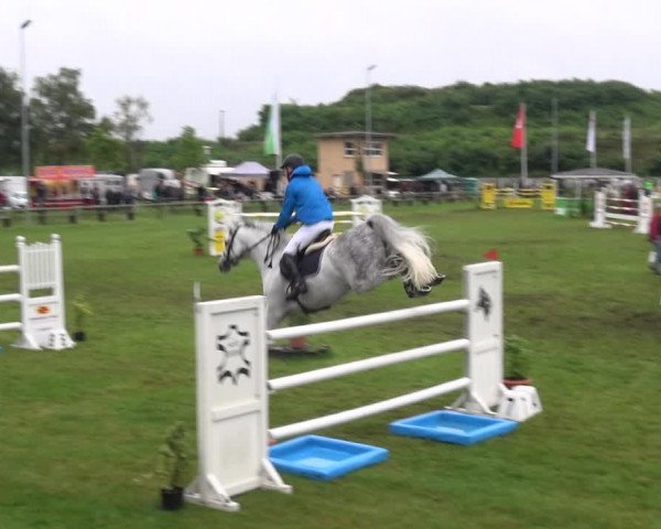 Reitturnier Gardelegen 2017