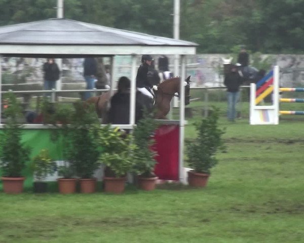 Reitturnier Gardelegen 2017