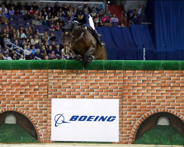 Zuchtstute Lisona (Irish Sport Horse, 2001, von Obos Quality)