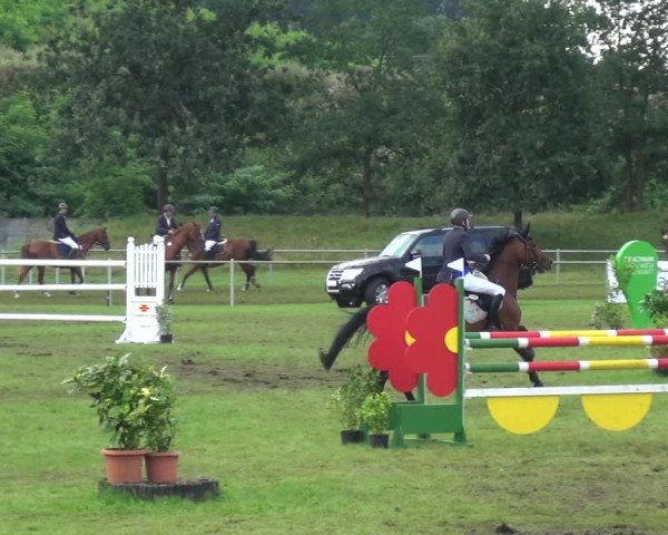 Reitturnier Gardelegen 2017