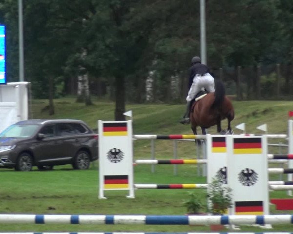 Reitturnier Gardelegen 2017