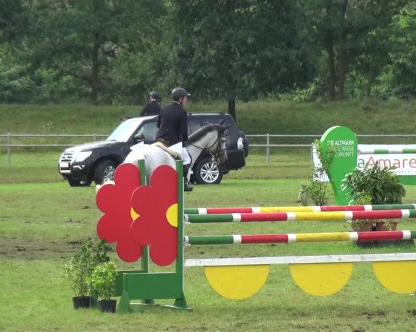 Reitturnier Gardelegen 2017