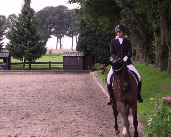 Reitturnier Datteln 2017