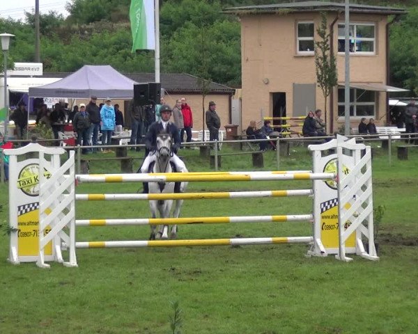 Reitturnier Gardelegen 2017