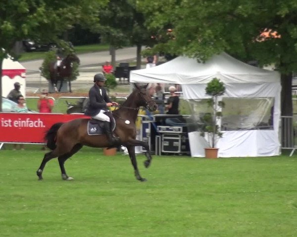 Reitturnier Aschersleben 2017