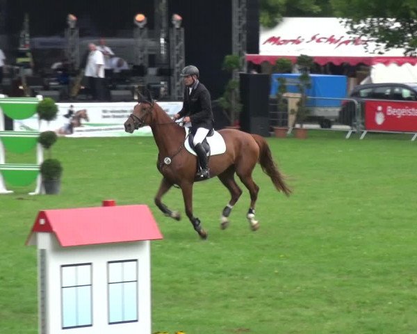 Reitturnier Aschersleben 2017