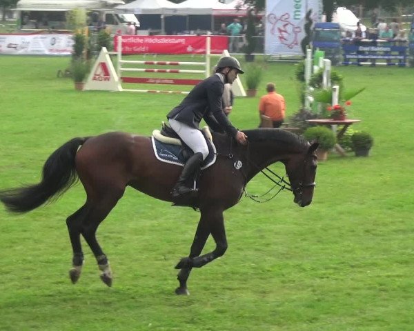 Reitturnier Aschersleben 2017
