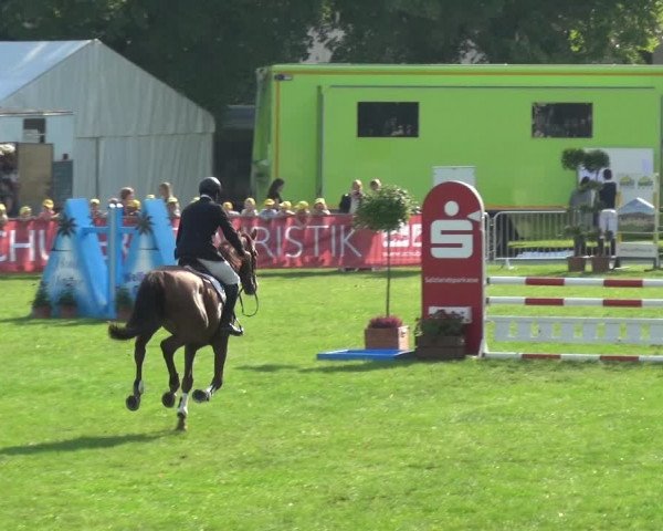 Reitturnier Aschersleben 2017