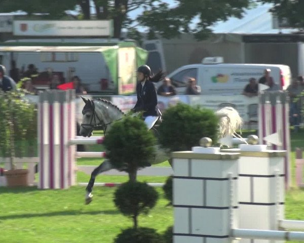 Reitturnier Aschersleben 2017