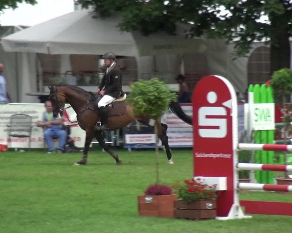 Reitturnier Aschersleben 2017