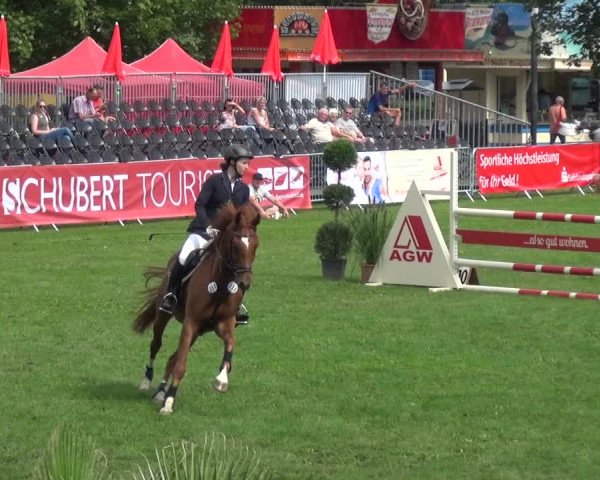Reitturnier Aschersleben 2017