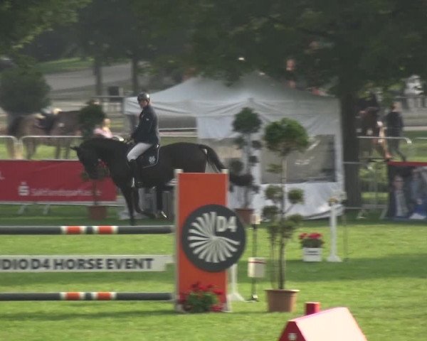 Reitturnier Aschersleben 2017