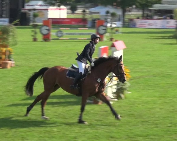 Reitturnier Aschersleben 2017
