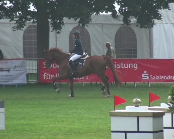 Reitturnier Aschersleben 2017