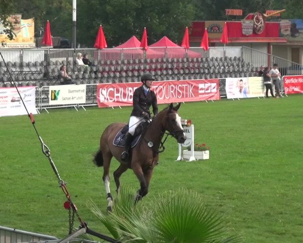 Reitturnier Aschersleben 2017