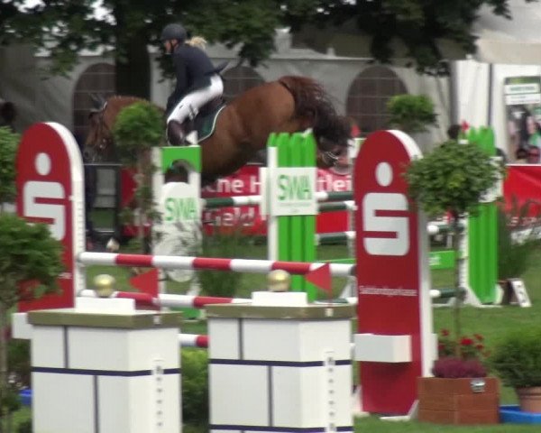 Reitturnier Aschersleben 2017