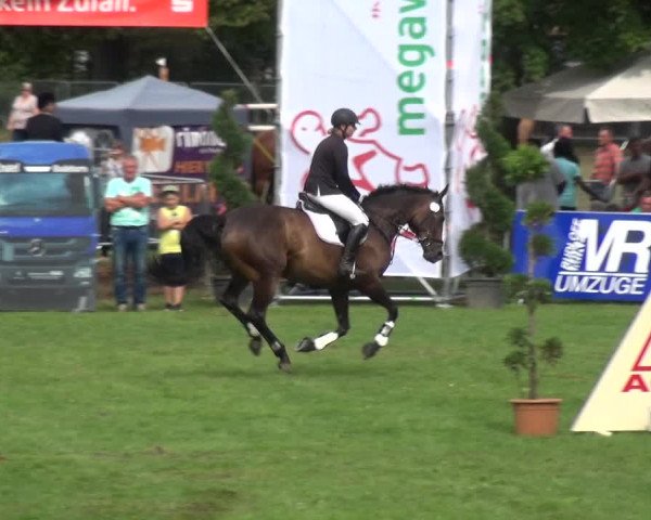 Torneo Equestre Aschersleben 2017