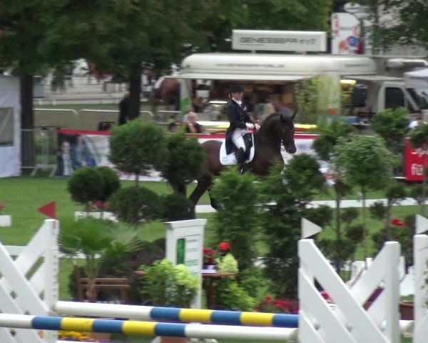 Reitturnier Aschersleben 2017