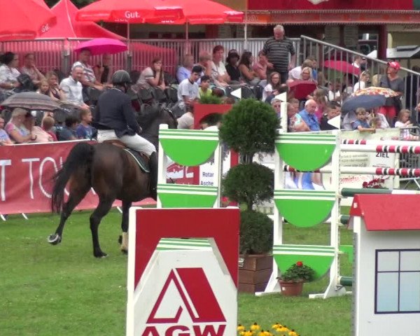 Reitturnier Aschersleben 2017