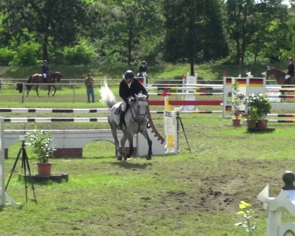 Reitturnier Gardelegen 2017