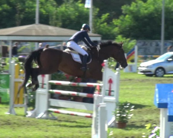 Reitturnier Gardelegen 2017