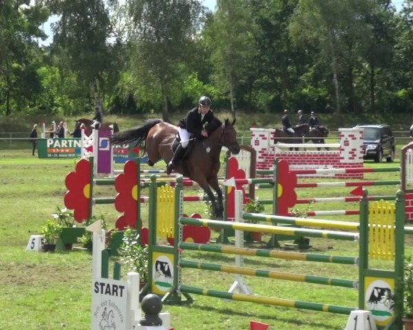 Reitturnier Gardelegen 2017