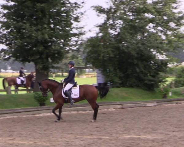 Reitturnier Datteln 2017