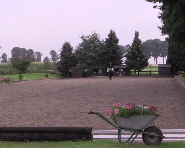 Reitturnier Datteln 2017