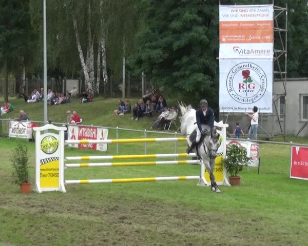 Reitturnier Gardelegen 2017