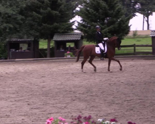 Reitturnier Datteln 2017