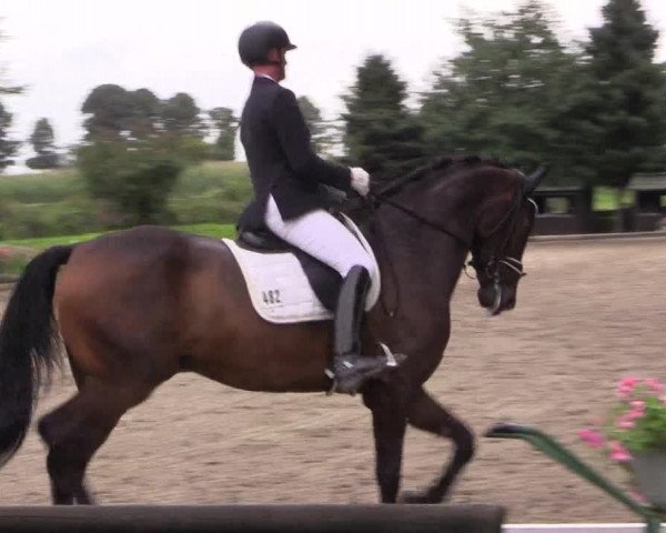 Reitturnier Datteln 2017