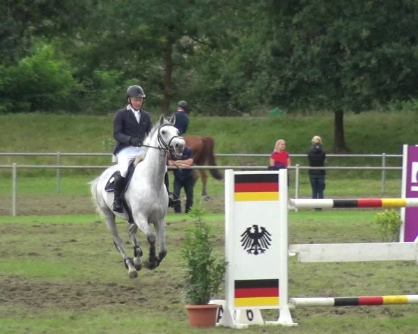 Reitturnier Gardelegen 2017