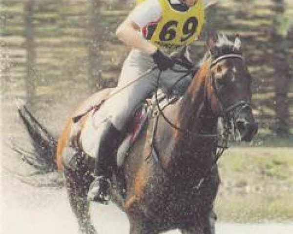 Pferd Molokai xx (Englisches Vollblut, 1983, von Hawaii xx)