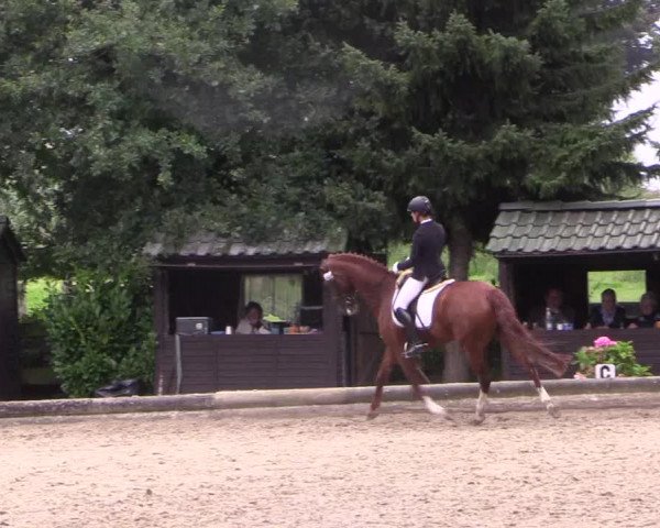 Reitturnier Datteln 2017