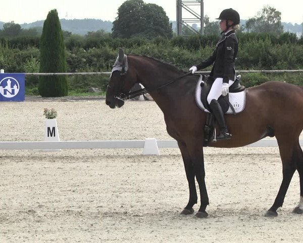 Reitturnier Illertissen 2017