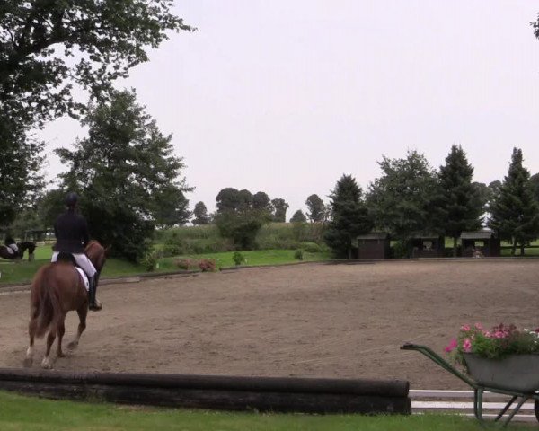 Reitturnier Datteln 2017