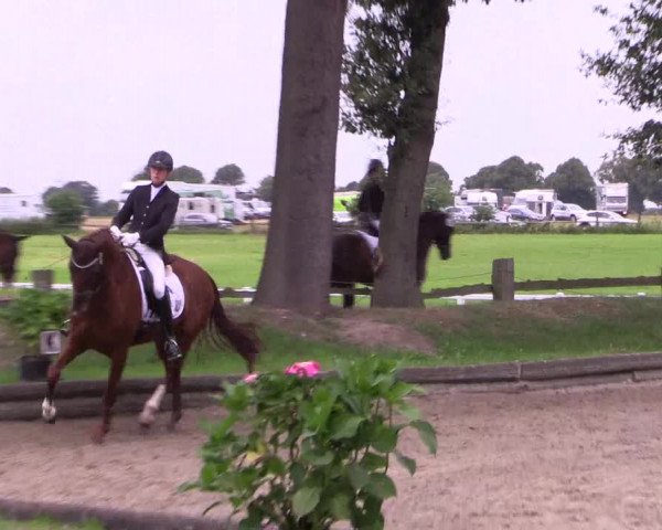 Reitturnier Datteln 2017