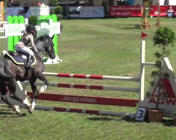 Reitturnier Aschersleben 2017