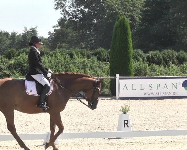Reitturnier Illertissen 2017