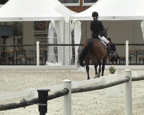 Reitturnier Illertissen 2017