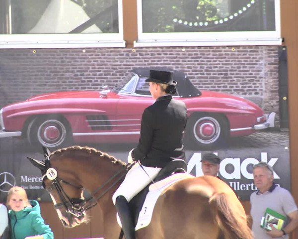 Reitturnier Illertissen 2017